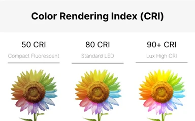 ¿Qué es CRI en la iluminación y por qué es importante?