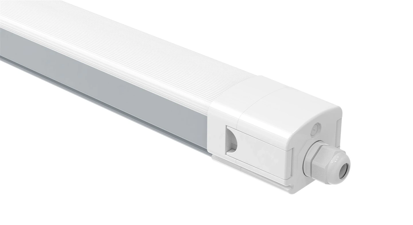 Luz Bico Tri-prueba