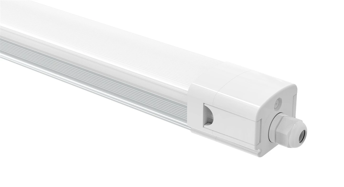 Luz Dico Tri-prueba