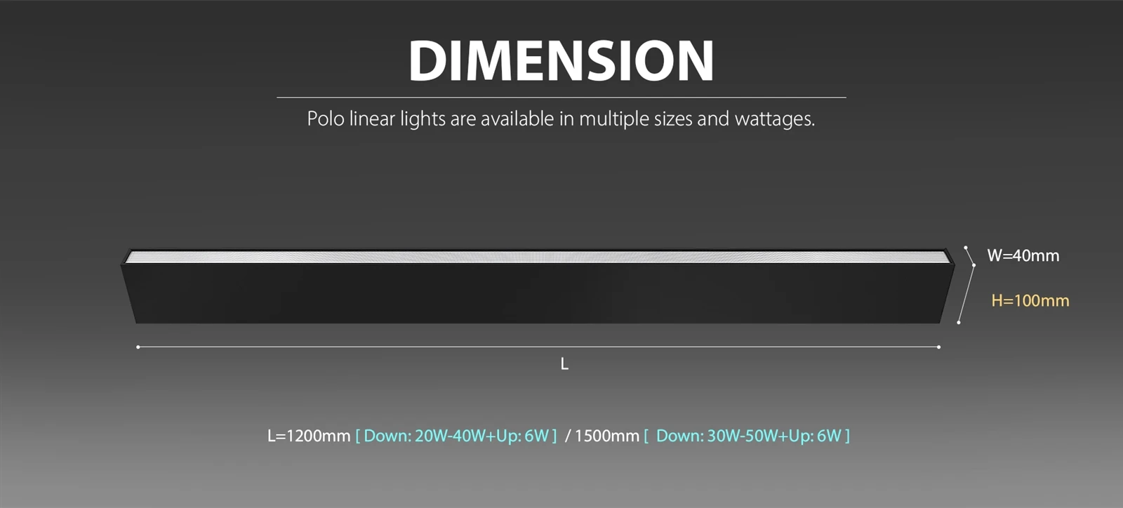 Polo Linear -4